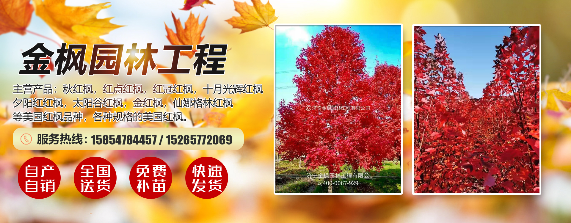 濟寧金楓園林工程有限公司